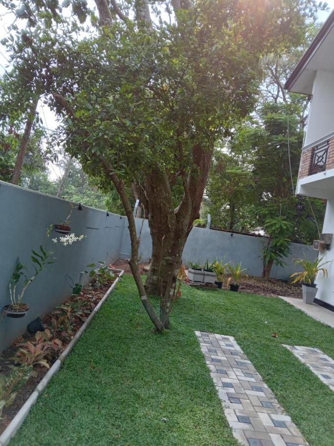 Sky Bloom Bed and Breakfast Homagama Buitenkant foto