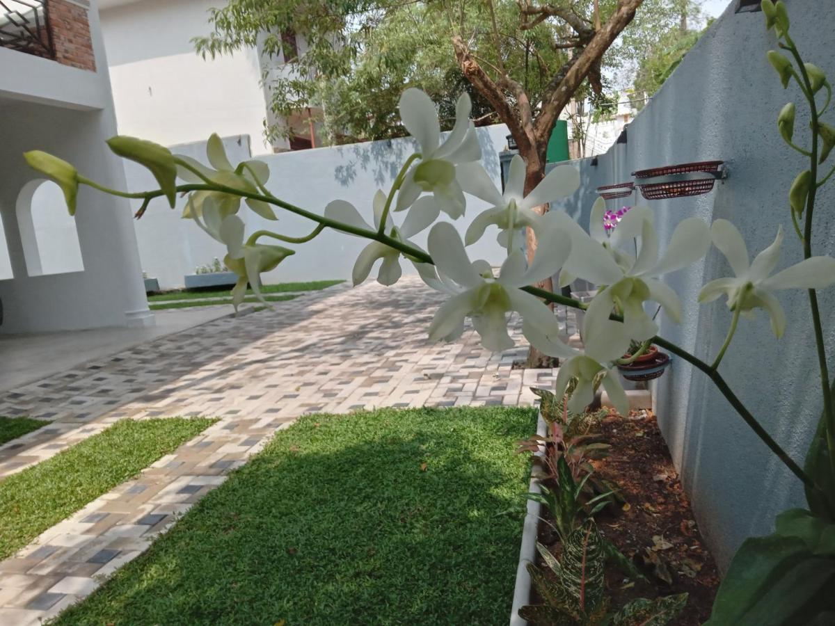 Sky Bloom Bed and Breakfast Homagama Buitenkant foto