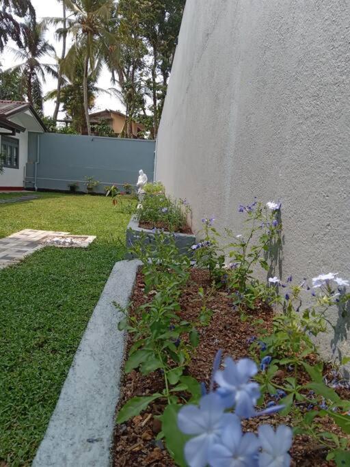 Sky Bloom Bed and Breakfast Homagama Buitenkant foto
